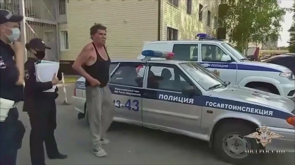 В Красноярском крае бесправник сбил ребенка и едва не сгорел в машине. Стоп-кадр видео