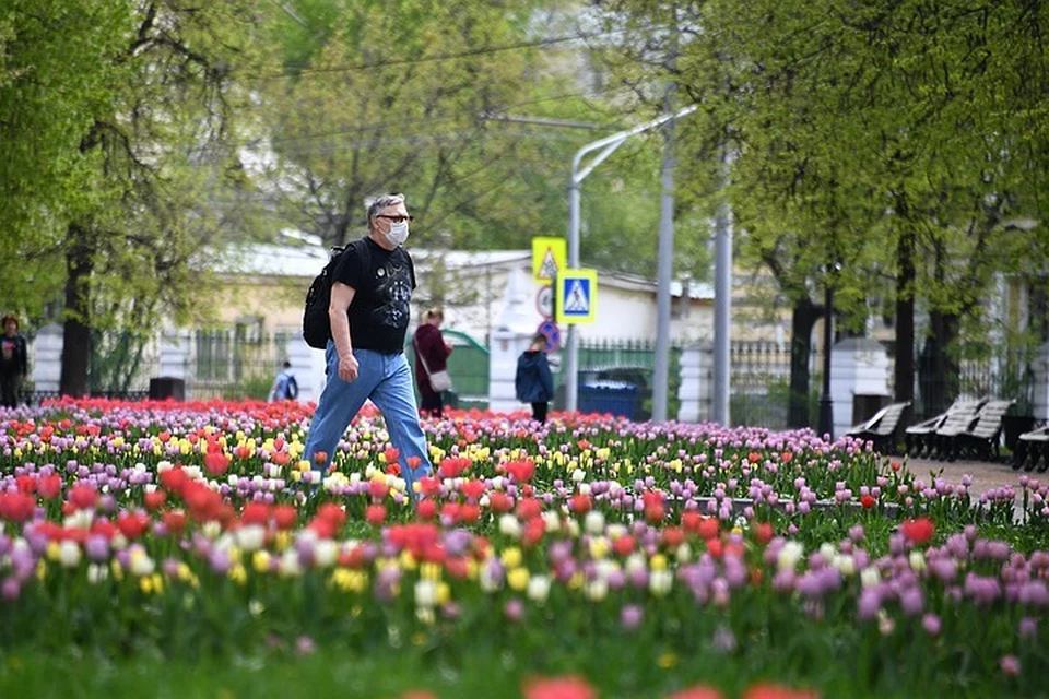 На следующем этапе снятия ограничений в Москве планируют открыть непродовольственные магазины, а потом возобновить работу предприятий сферы бытовых услуг