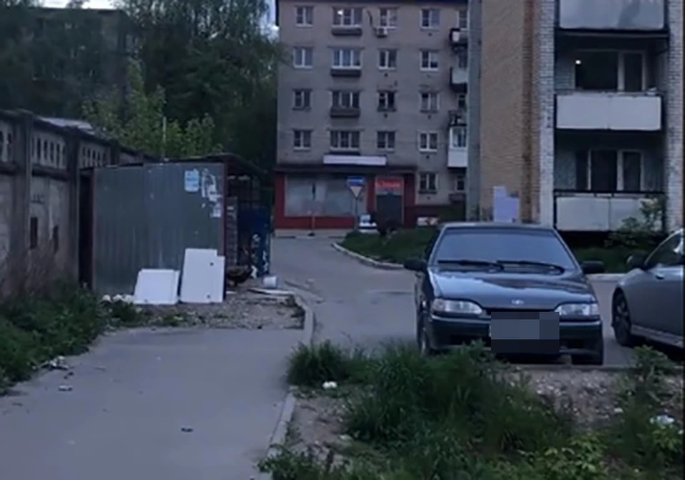 В центре Твери бегал лось Фото: vk.com/"Тверь ВКонтакте"/Алина Хомякова (скрин видео)