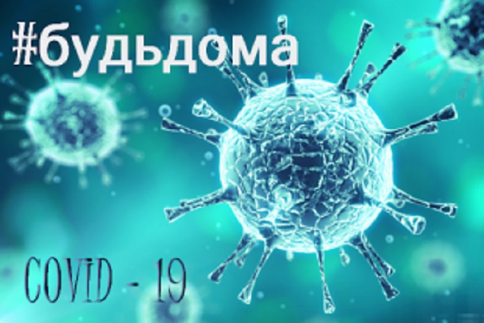 В Тарко-Сале выявили два семейных очага COVID-19 Фото: pixabay.com