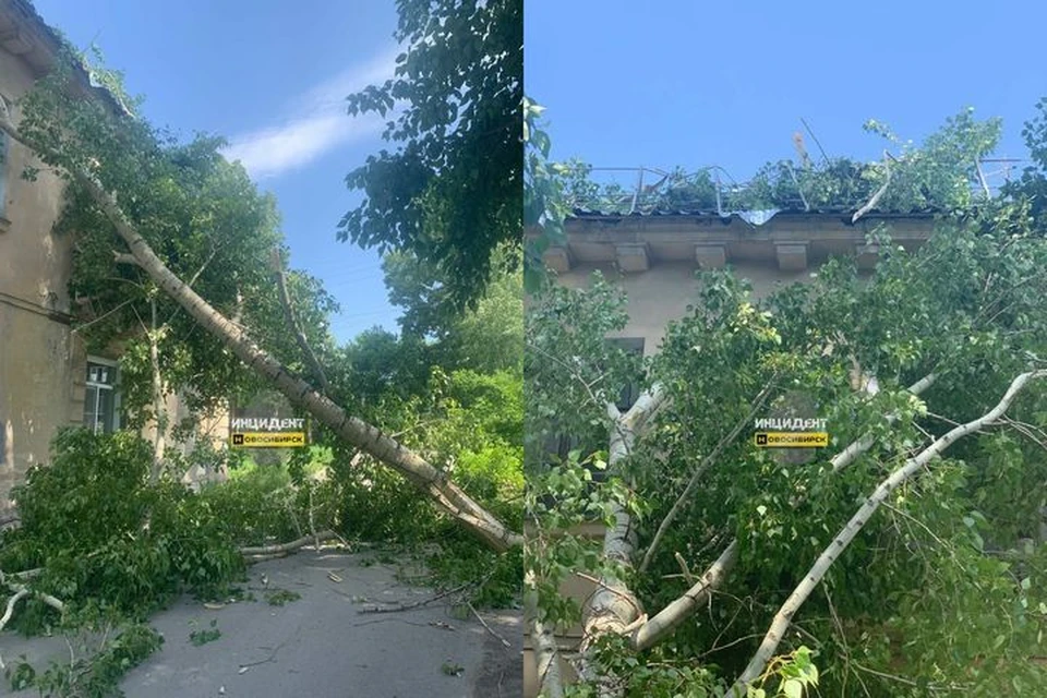 В Первомайском районе города дерево упало на жилой дом. Фото: "Инцидент Новосибирск"