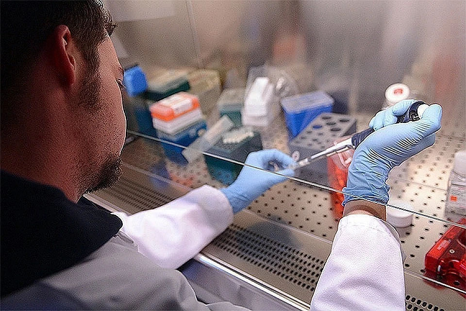 В России зарегистрировано 17 тестов на коронавирус