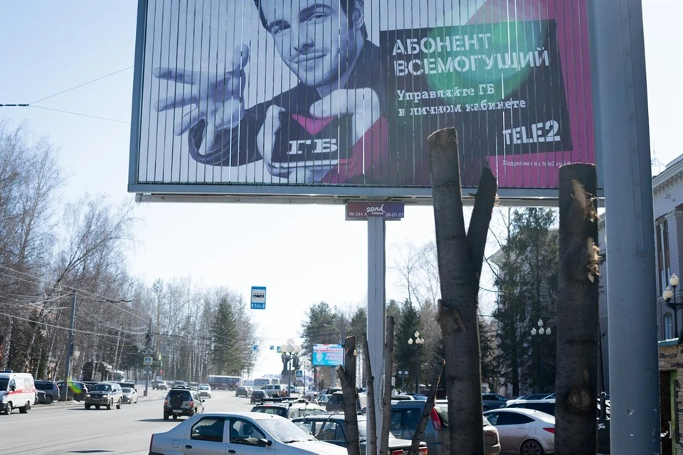 Многих томичей возмутили повреждения,а затем снос деревьев на пр.Ленина .фото: паблик "Жесть Томска" ("Вконтакте")