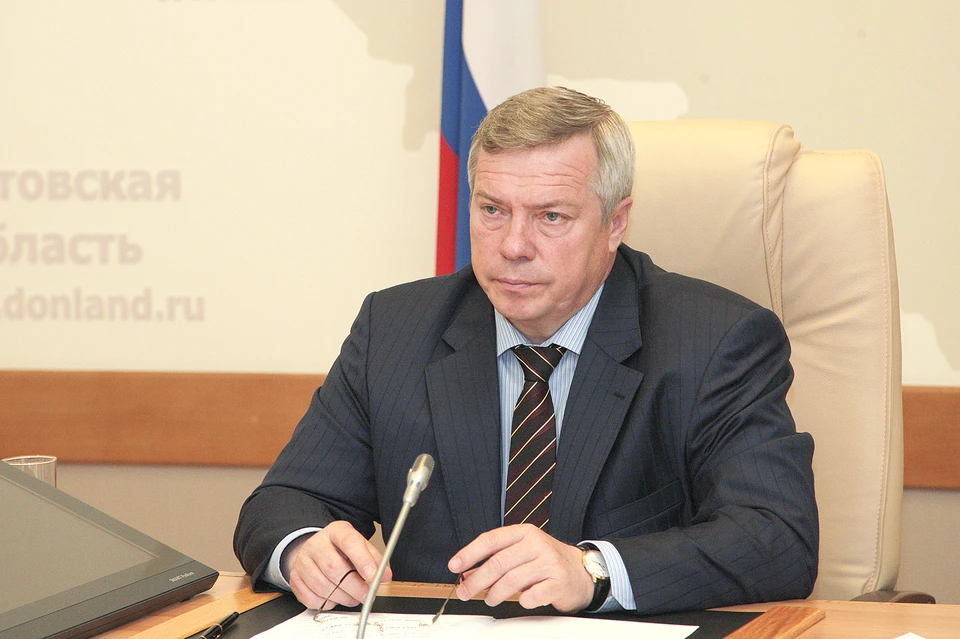 Донской губернатор уверен, что экономике региона необходимы долгосрочные структурные изменения. Фото: donland.ru