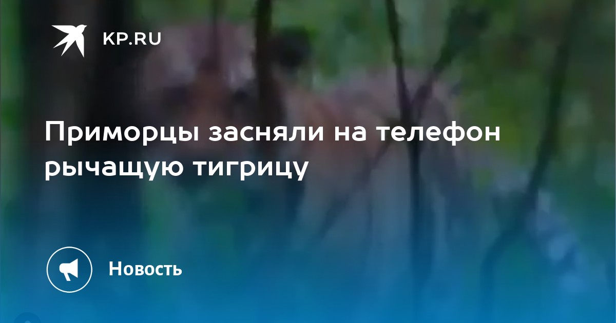 Не помогли но засняли на телефон мужское и женское