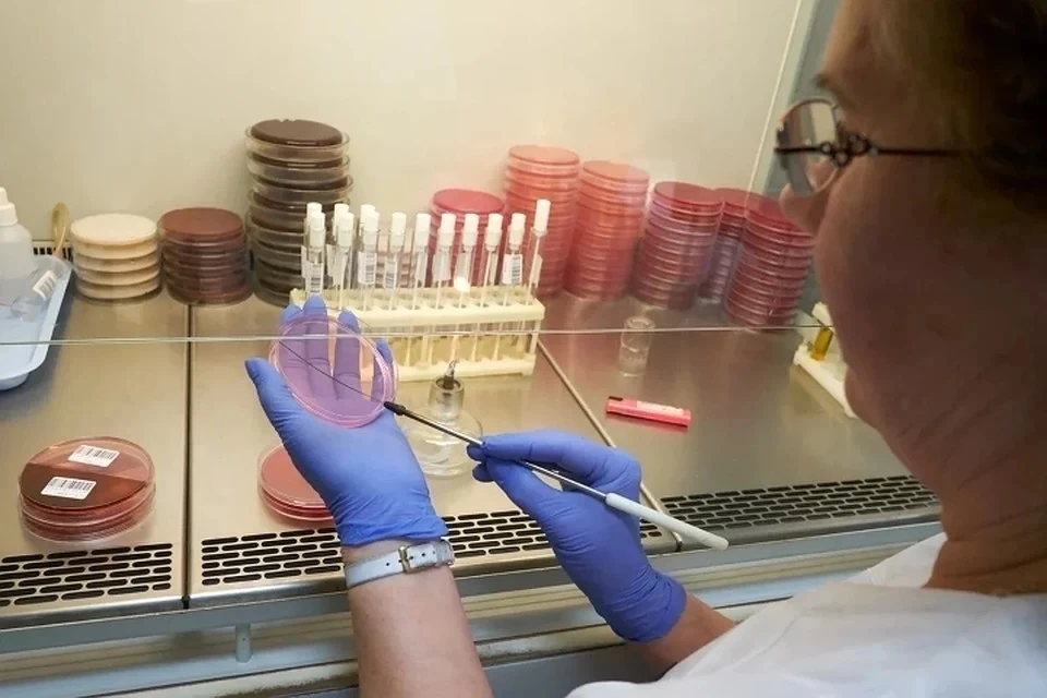 Ученые нашли способ спрогнозировать шансы пациента на жизнь