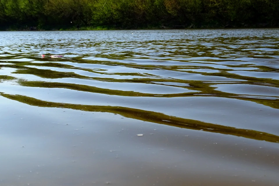 В Липецкой области реку Дон загрязнили на 100 млн рублей