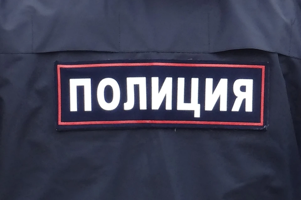МЧС и полиция обеспечит безопасность тюменцев во время голосования по поправкам в Конституцию РФ.