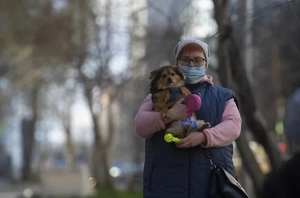 Число выздоровевших от коронавируса в Нижнем Новгороде на 23 июня 2020 года увеличилось почти до девяти тысяч человек.