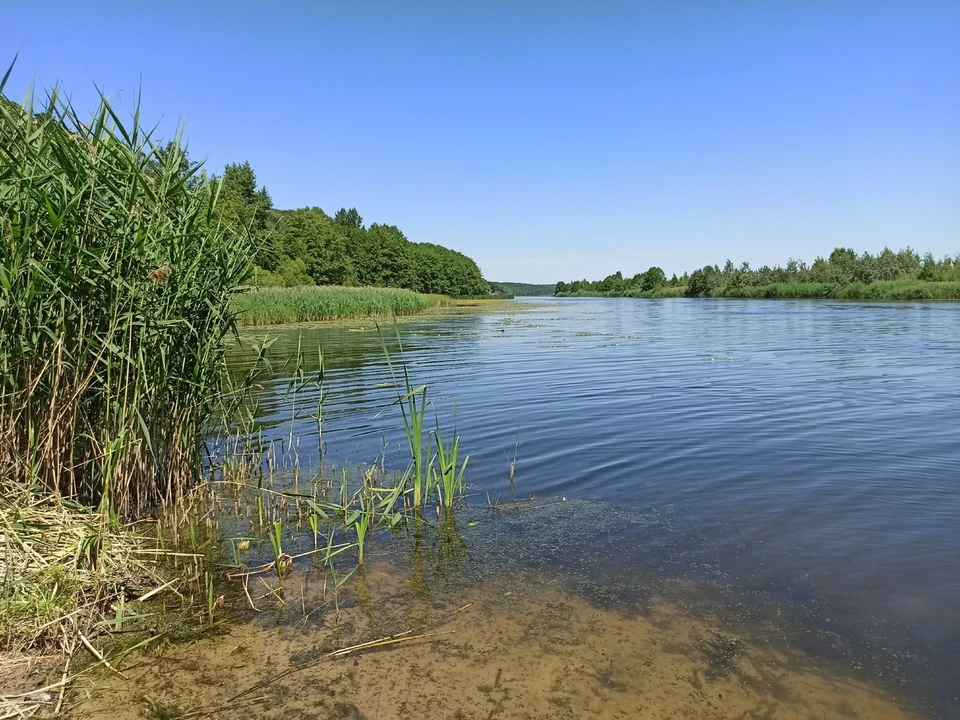 фото из архива "КП".