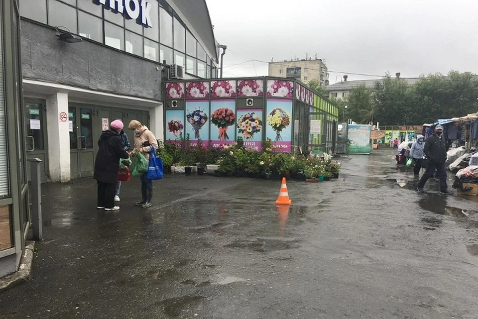Фото: отдел пропаганды ГИБДД по Екатеринбургу