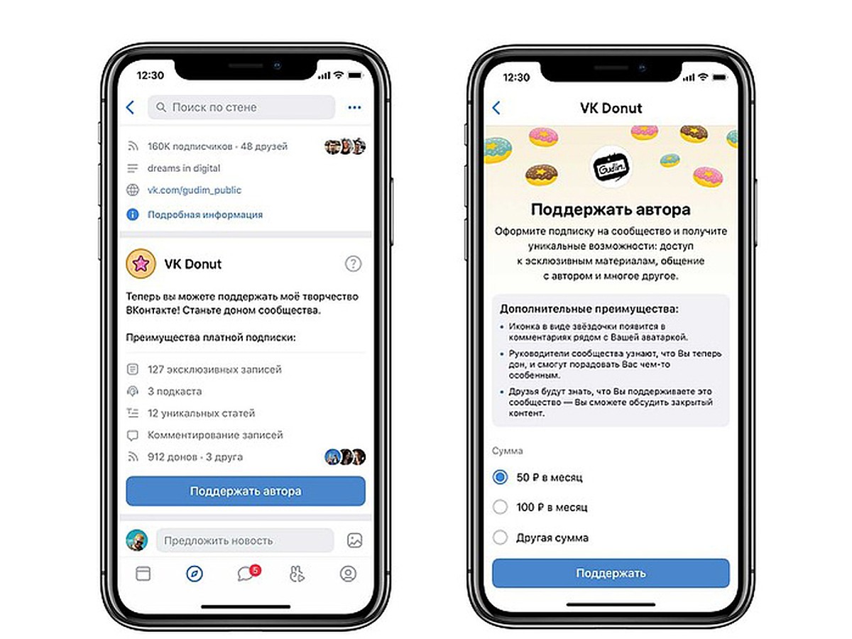 ВКонтакте позволит авторам заработать с помощью VK Donut - KP.RU