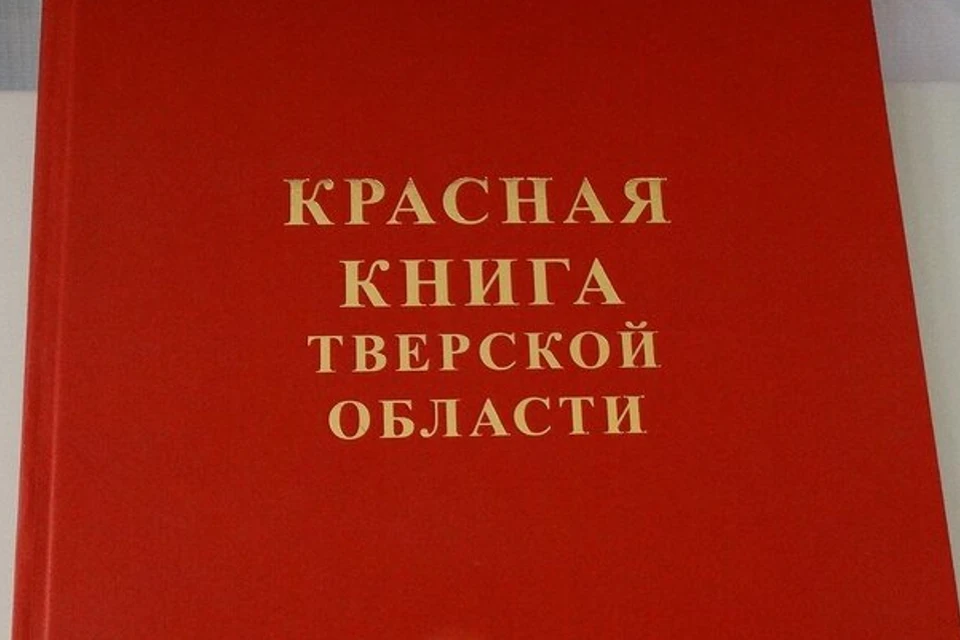 Красную книгу Тверской области ждет перепроверка.