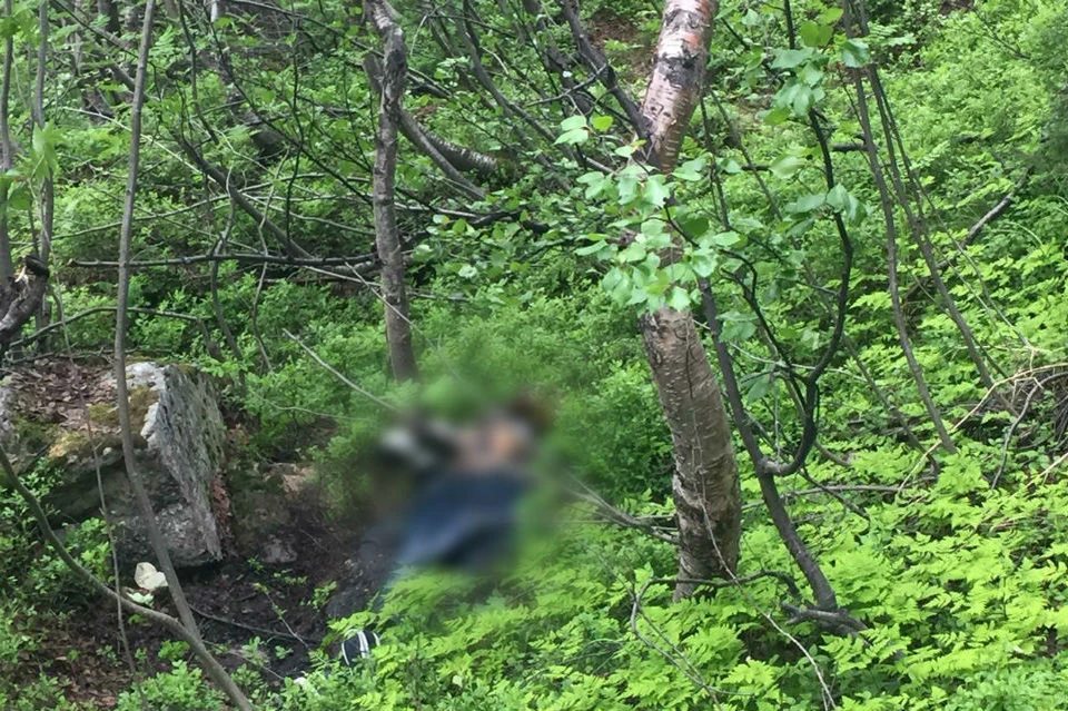Тело мужчины нашли у подножия скалы высотой 60 метров. Фото: СКР по Мурманской области