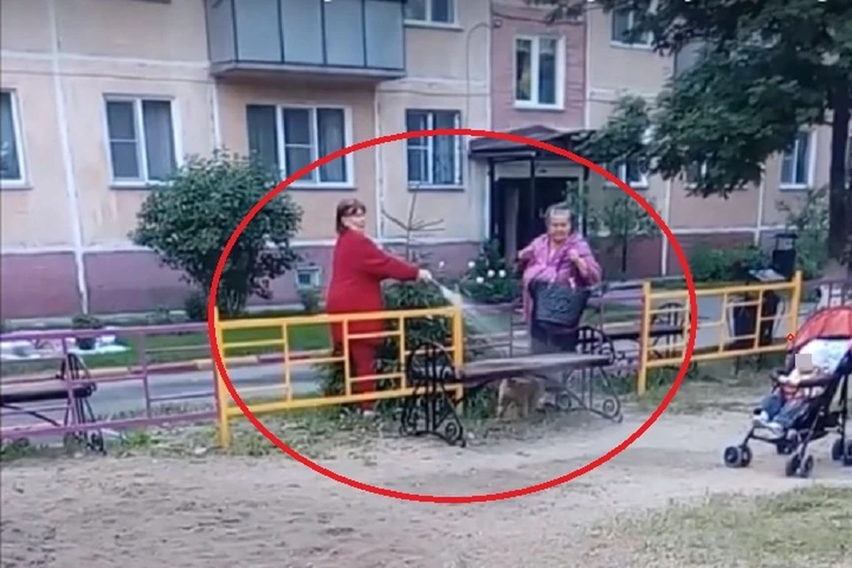В Бердске старшая по дому поливает песок на площадке, родители с детьми, которые еще играют, против. Фото: кадр из видео, опубликованного на портале kurer-sreda.ru
