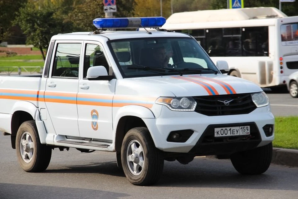 Уж заполз в квариру на первом этаже из подвала.