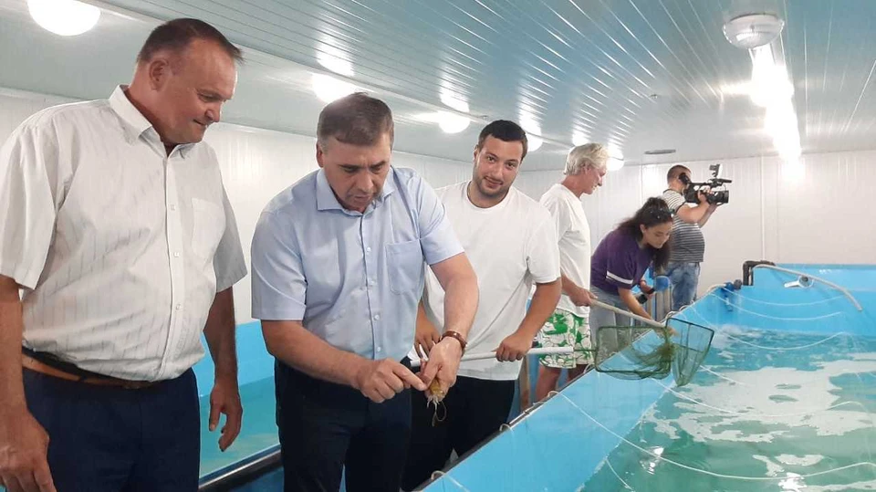 Планируют выводить около 400 миллионов мальков в год. Фото: официальный сайт Минсельхоз РК.