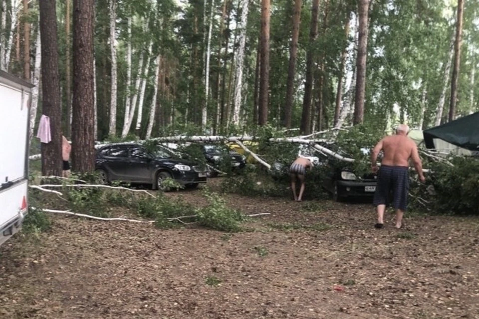Сильный ветер повалил большие деревья на машины туристов. Фото: vk.com/nashchelyabinsk