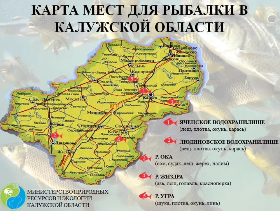 Инвестиционная карта калужской области