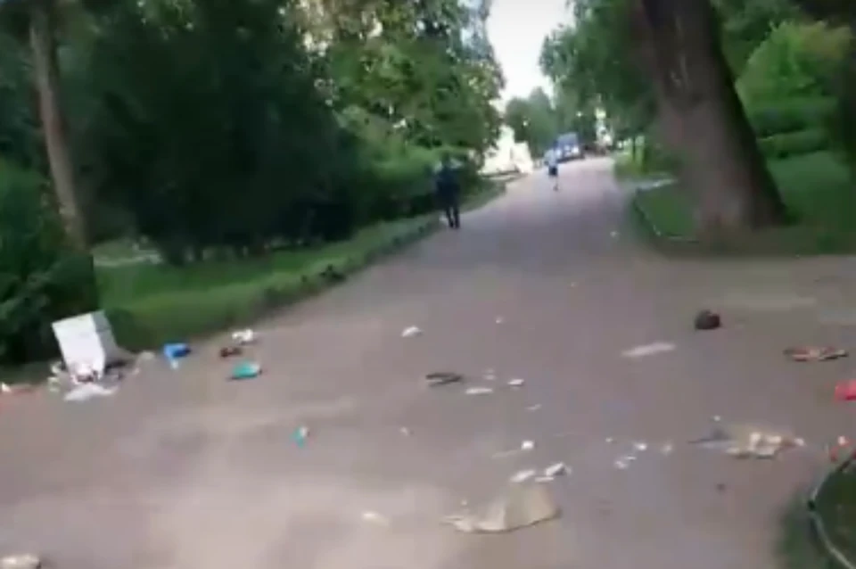 Вороны забросали мусором Таврический сад в Санкт-Петербурге