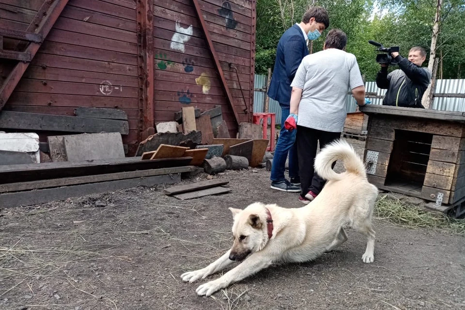 Горожане с воодушевлением восприняли идею создания муниципального приюта. Фото: Из личного архива Михаила Павлова