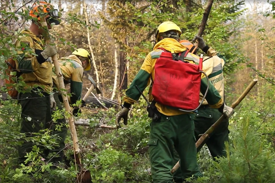 В 2020 году лесопожарным силам удается ликвидировать возгорания.