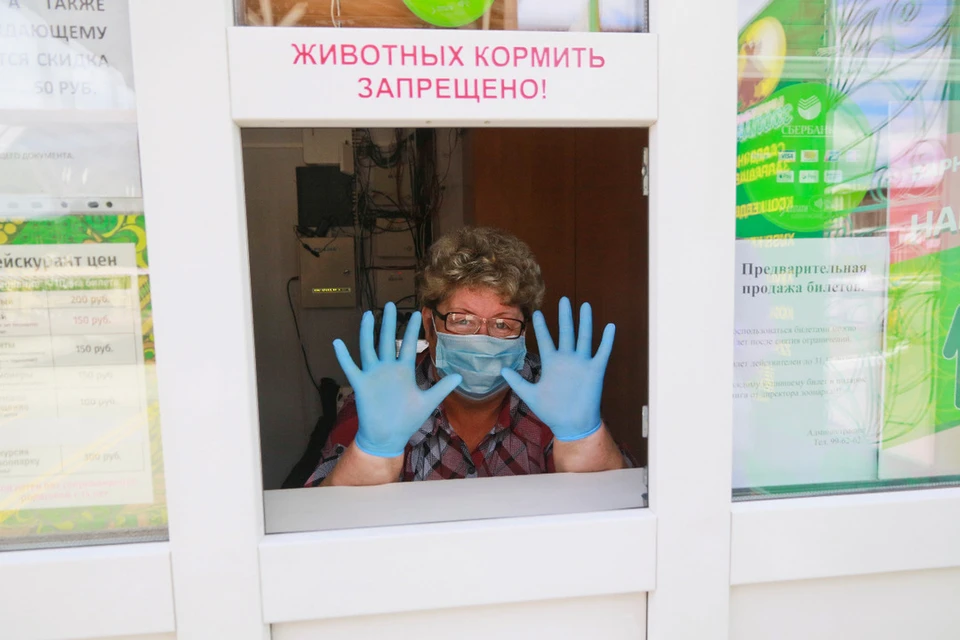 В крае действует масочный режим.