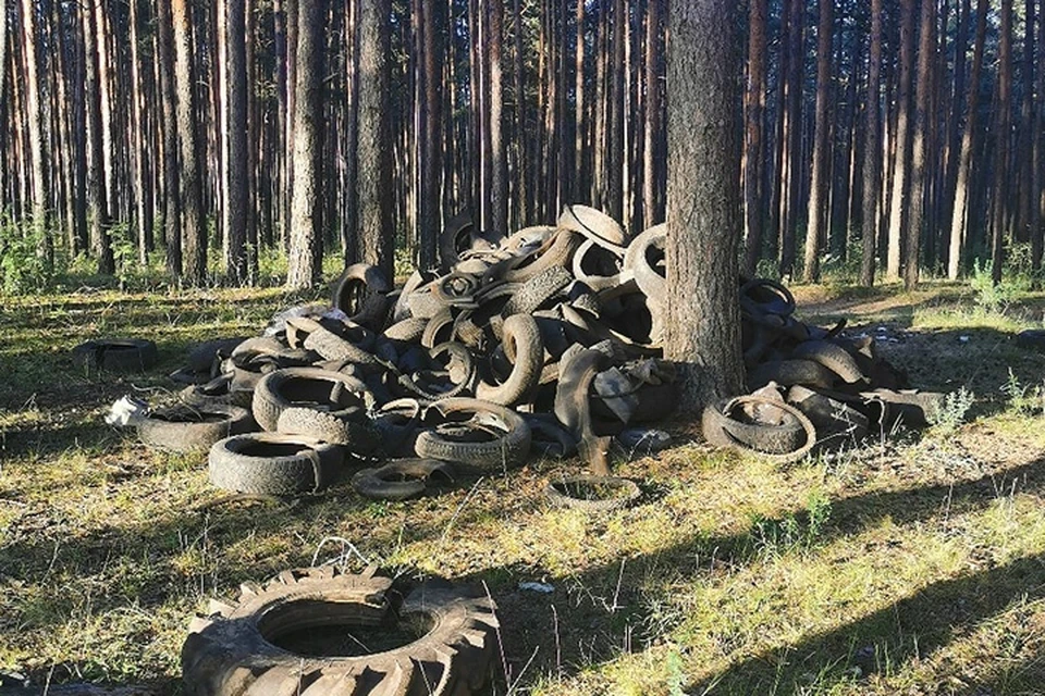 Фото: "Типичный Брянск".