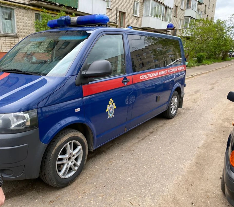 Полиция задержала педофила в Смоленске. Фото: СУ СК России по Смоленской области.