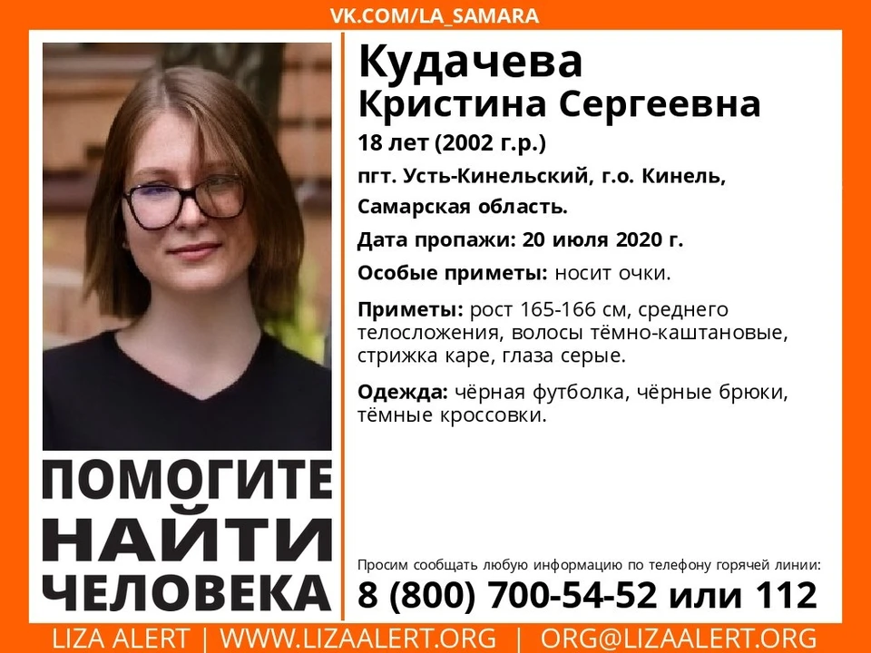 Волонтеры просят помочь в поисках