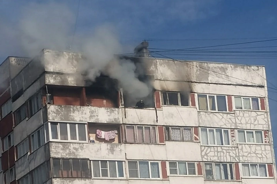 На Поэтическом бульваре горит многоэтажка. Фото: vk.com/spb_today