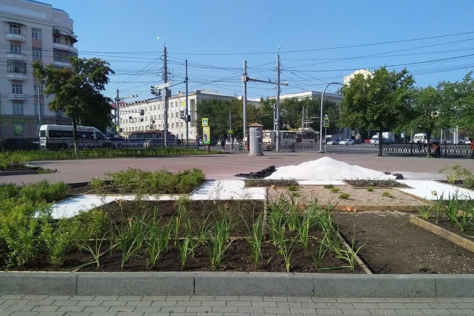 Многолетники можно высаживать в любое время, но пустая земля не радует глаз