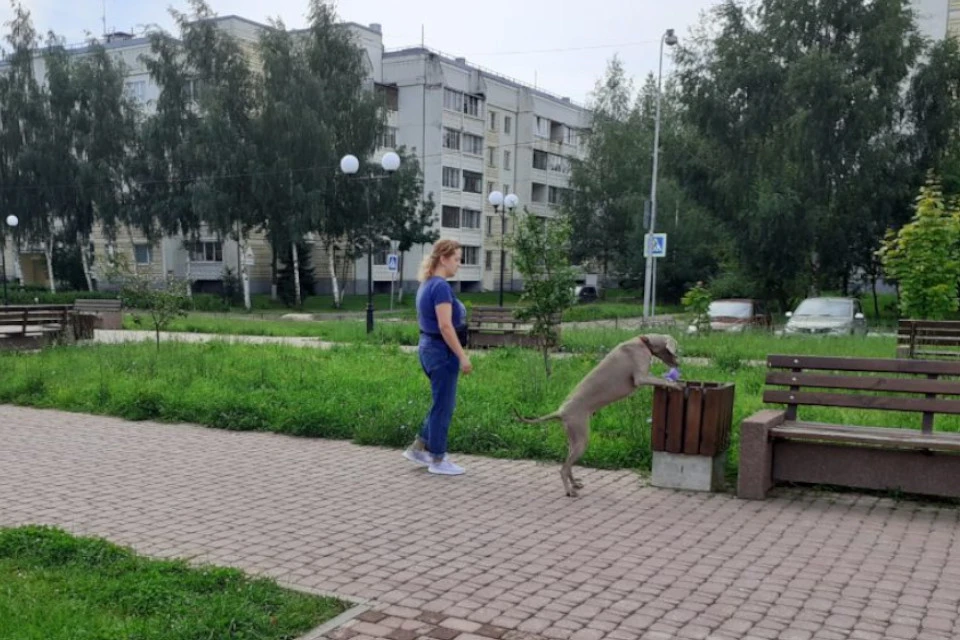 Инна и Берта на страже чистоты города. Фото: tcax.ru