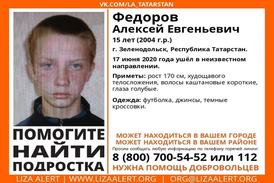 Фото: ПСО "Лиза Алерт"