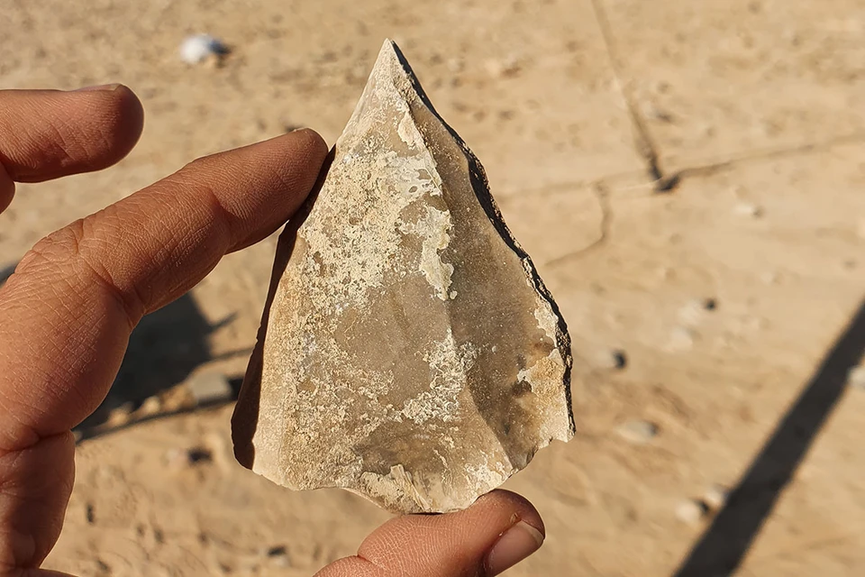 Орудия древнего человека нашли в Израиле. Фото: Emil Eladjem, Israel Antiquities Authority