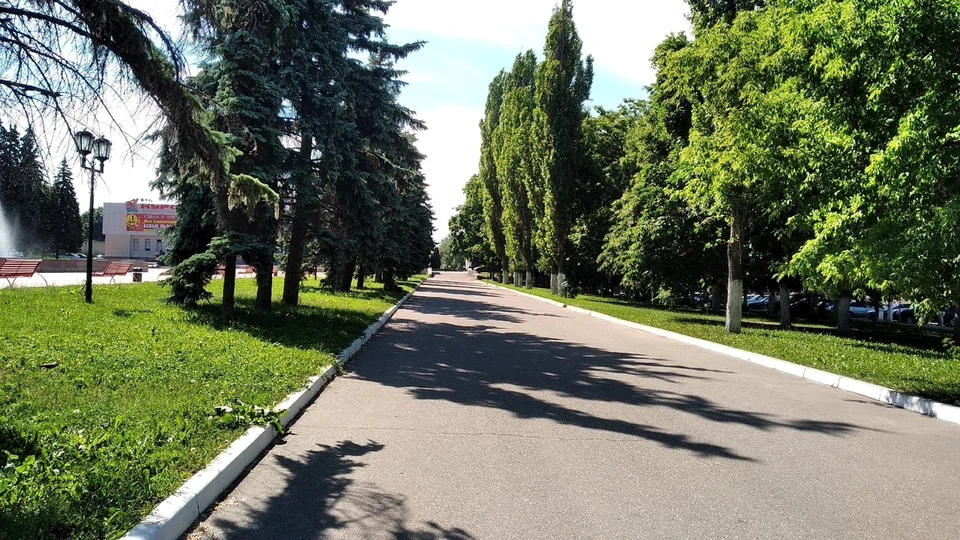 Места для них пчеловодов в этом году предоставляются бесплатно