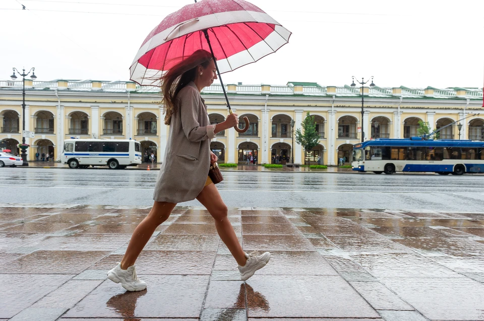 Со вторника, 11 августа, в Петербург вернутся дожди.