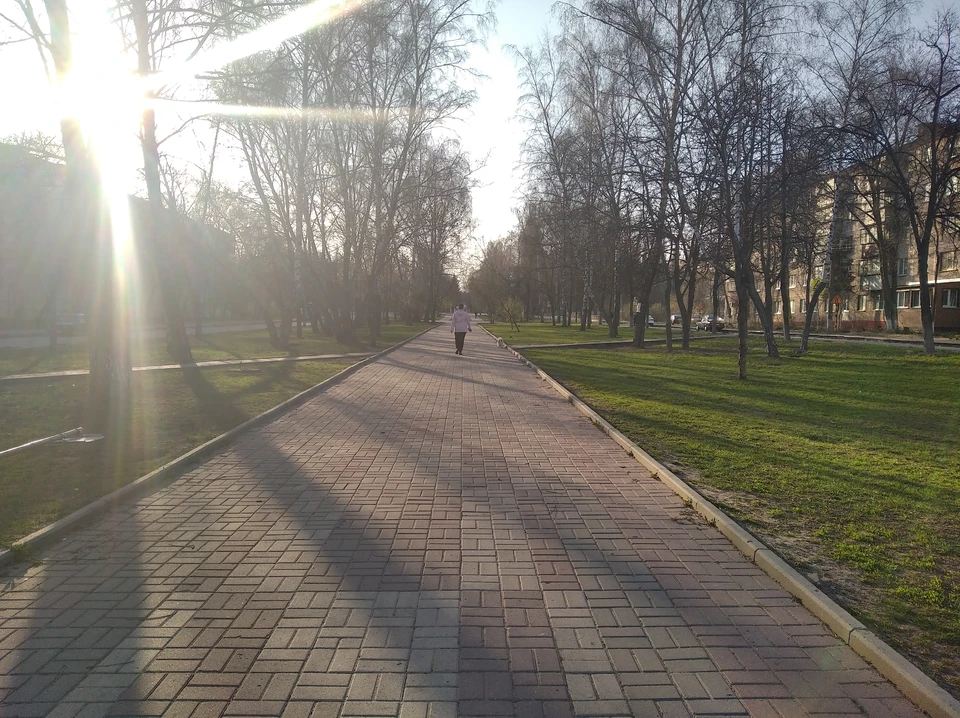 В Курске будет одним сквером больше