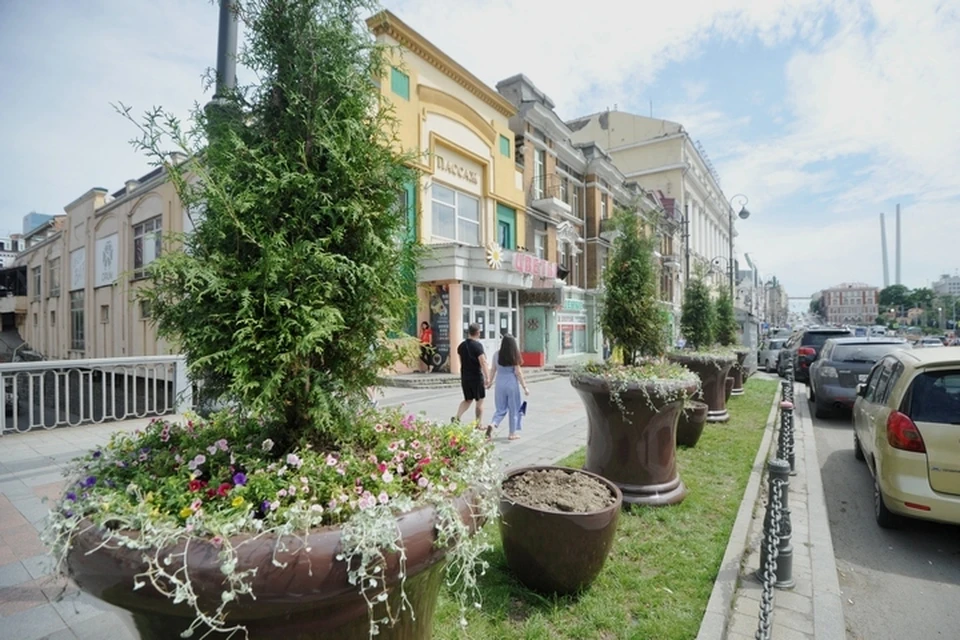 Собрали мнения жителей Владивостока и приезжих из других регионов о новых вазонах в центре города.