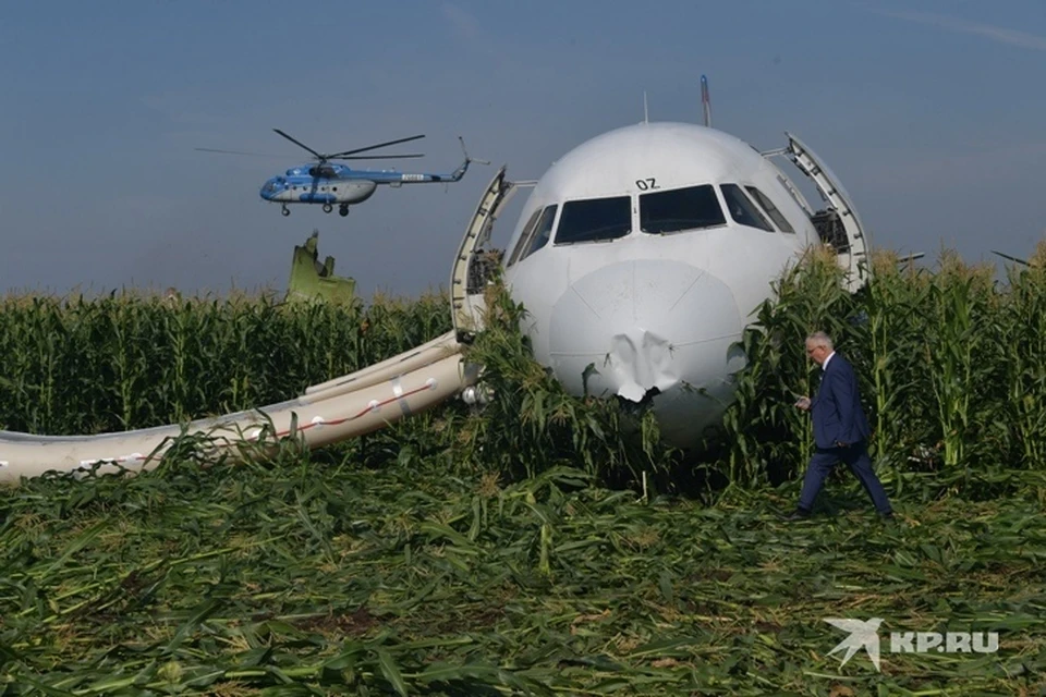 Самолет "Уральских авиалиний" приземлился в кукурузное поле под Жуковским 15 августа 2019 года.