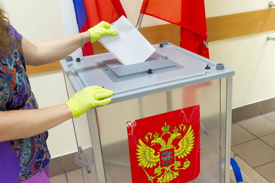 Выборы в Ленинградской области 2020: когда пройдут и как принять участие