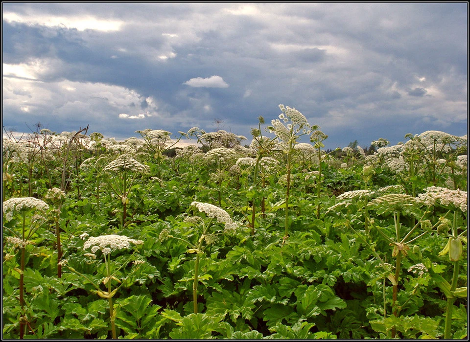 Фото: hr.government-nnov.ru