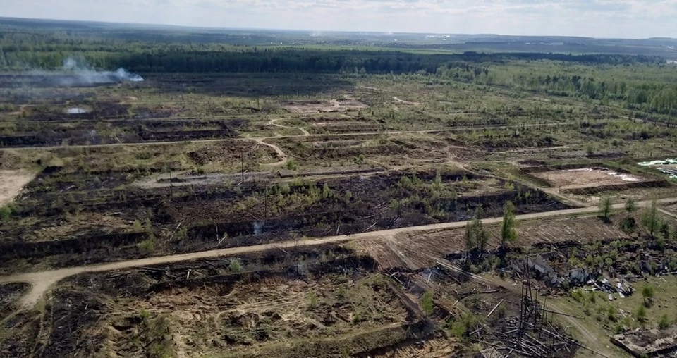 Фото: Глава Малопургинского района Удмуртии Сергей Юрин