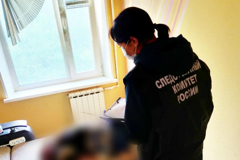 Мужчина "смылся" с места преступления, однако его отыскали. Фото: СУ СКР по МО