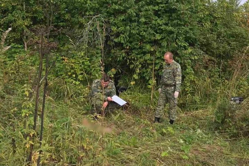 Фото с места, где была найдена убитая девочка: в пресс-служба СУ СКР по Пермскому краю.