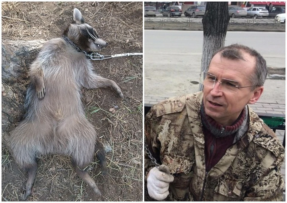 На зоопарк Сергея Панасенко постоянно поступают жалобы. Фото: соцсети