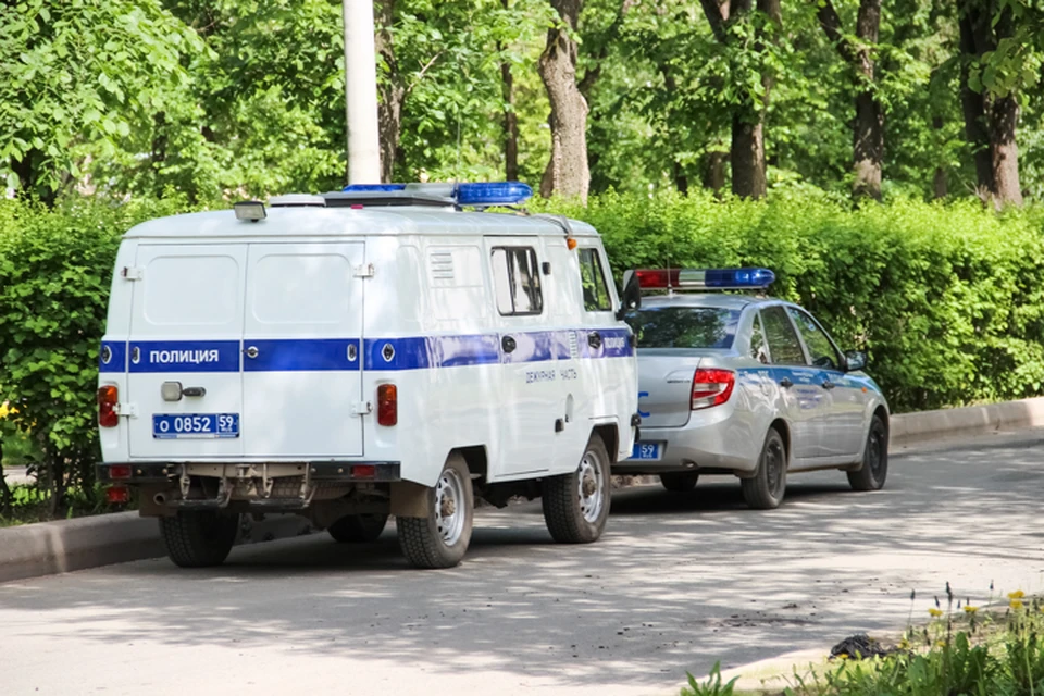 Полицейские нашли пропавших девочек.