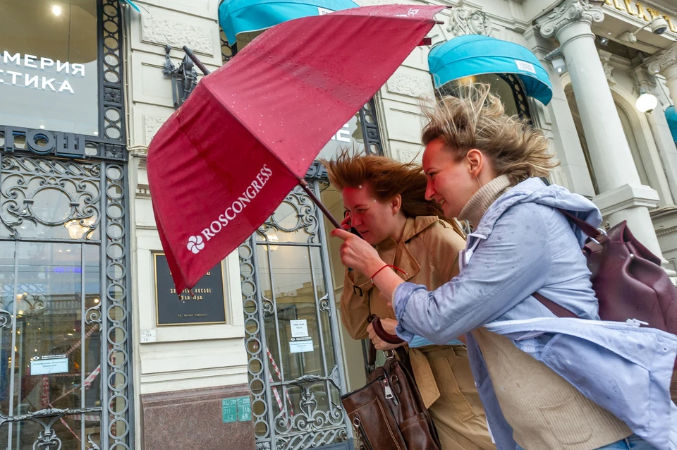 МЧС предупредило о сильном ветре 12 сентября в Петербурге