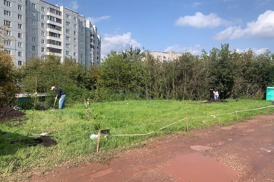 Раньше здесь была свалка Фото: admkrsk.ru
