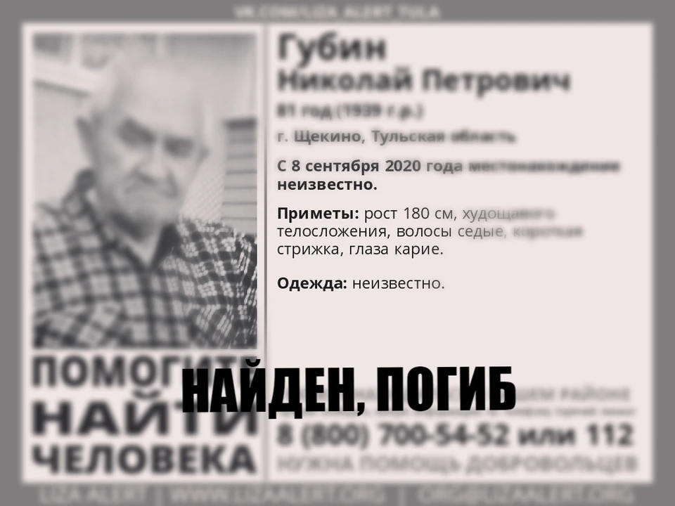 Пропавший 81-летний житель Тульской области найден мертвым